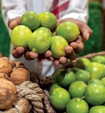 أرامكو السعودية ترعى معرض «اللومي الحساوي 2025»