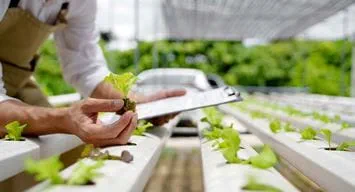 Aramco Europe Citizenship Program supports Rotterdam Floating Farm circular agriculture project