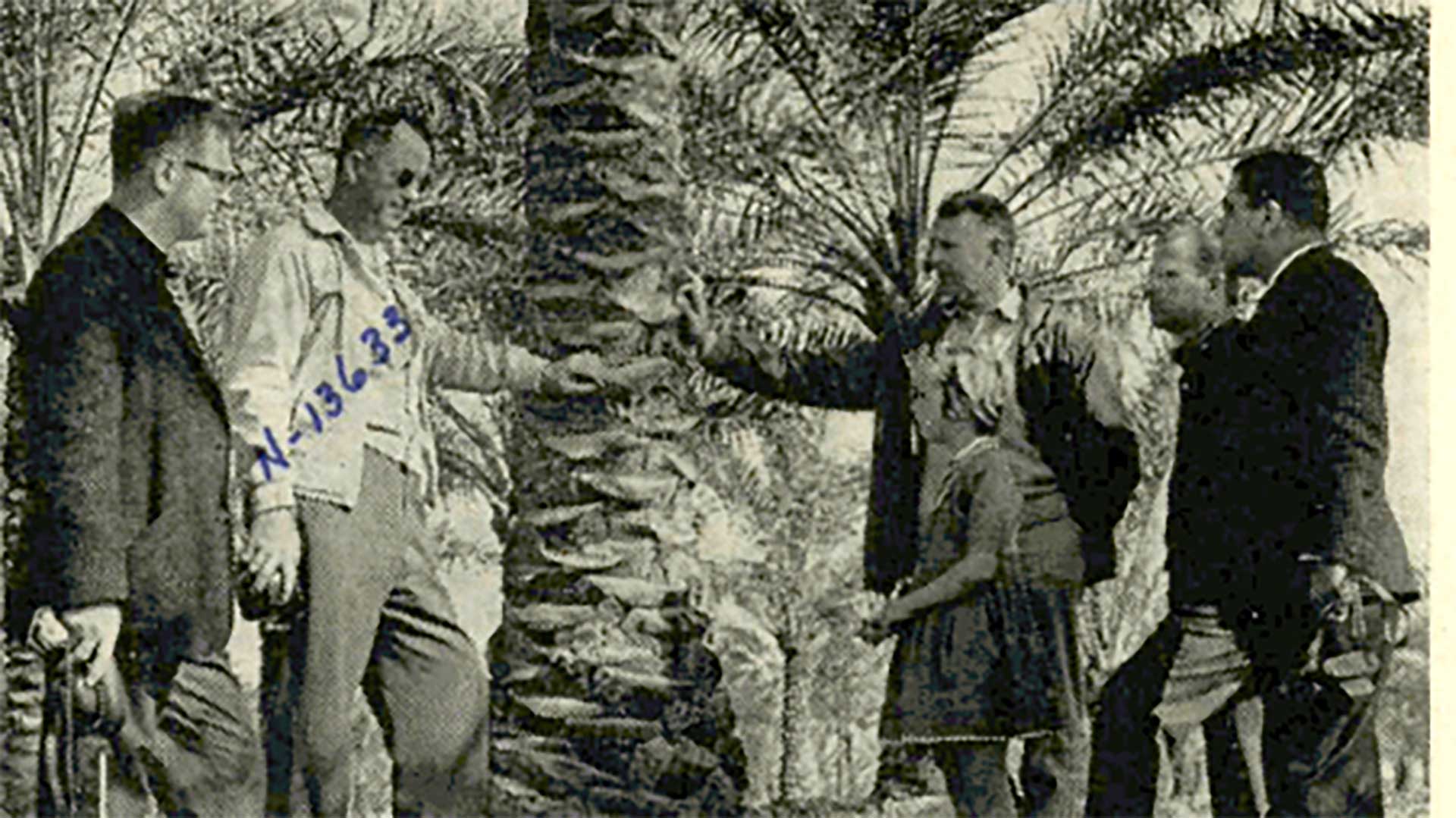 This Day in History (1965): Inspection tour