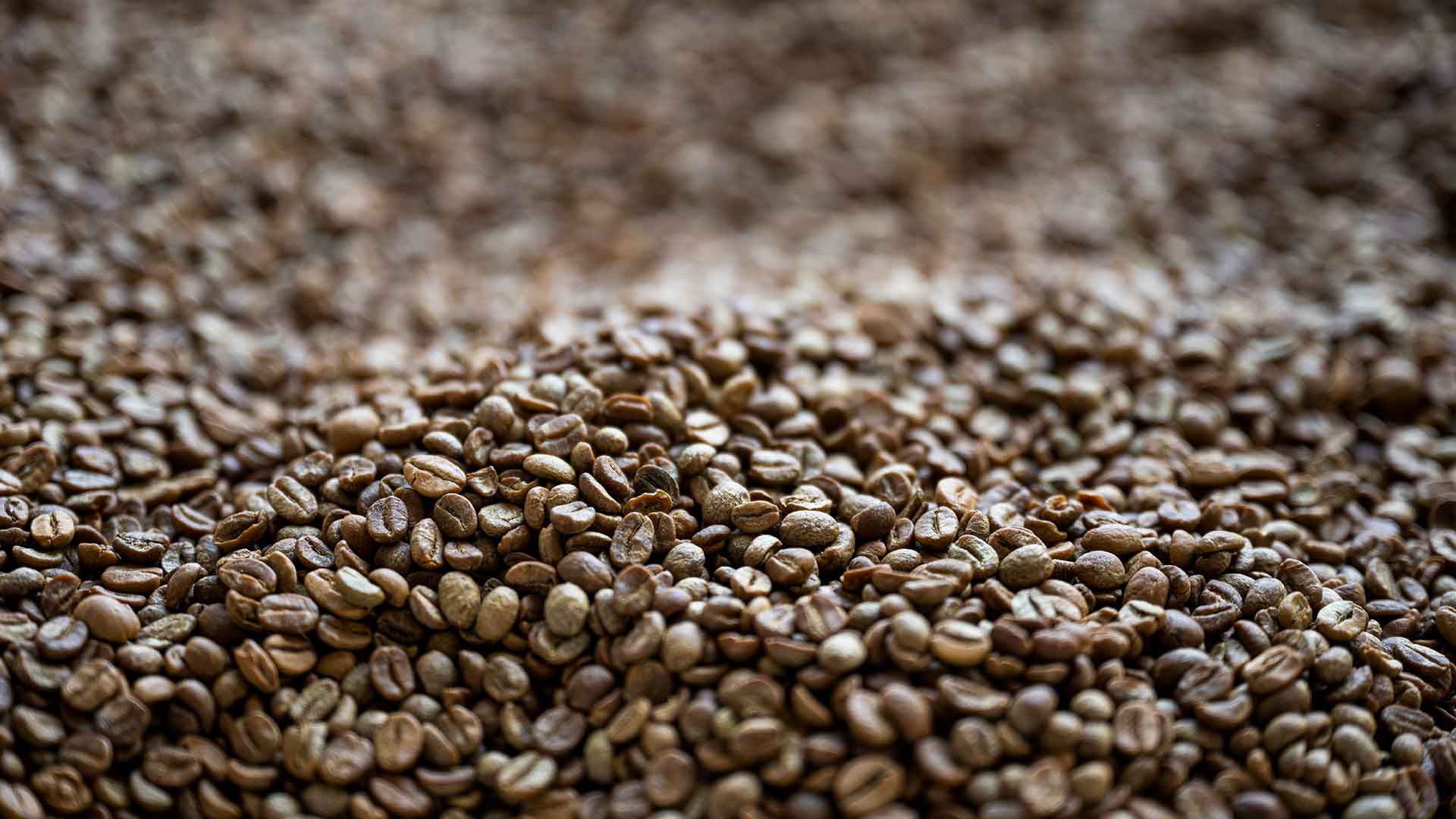Through its citizenship efforts, Aramco has left a robust coffee sector in the regions and has built a now-thriving economic bulwark for farming communities to contribute to the wider Saudi economy. 