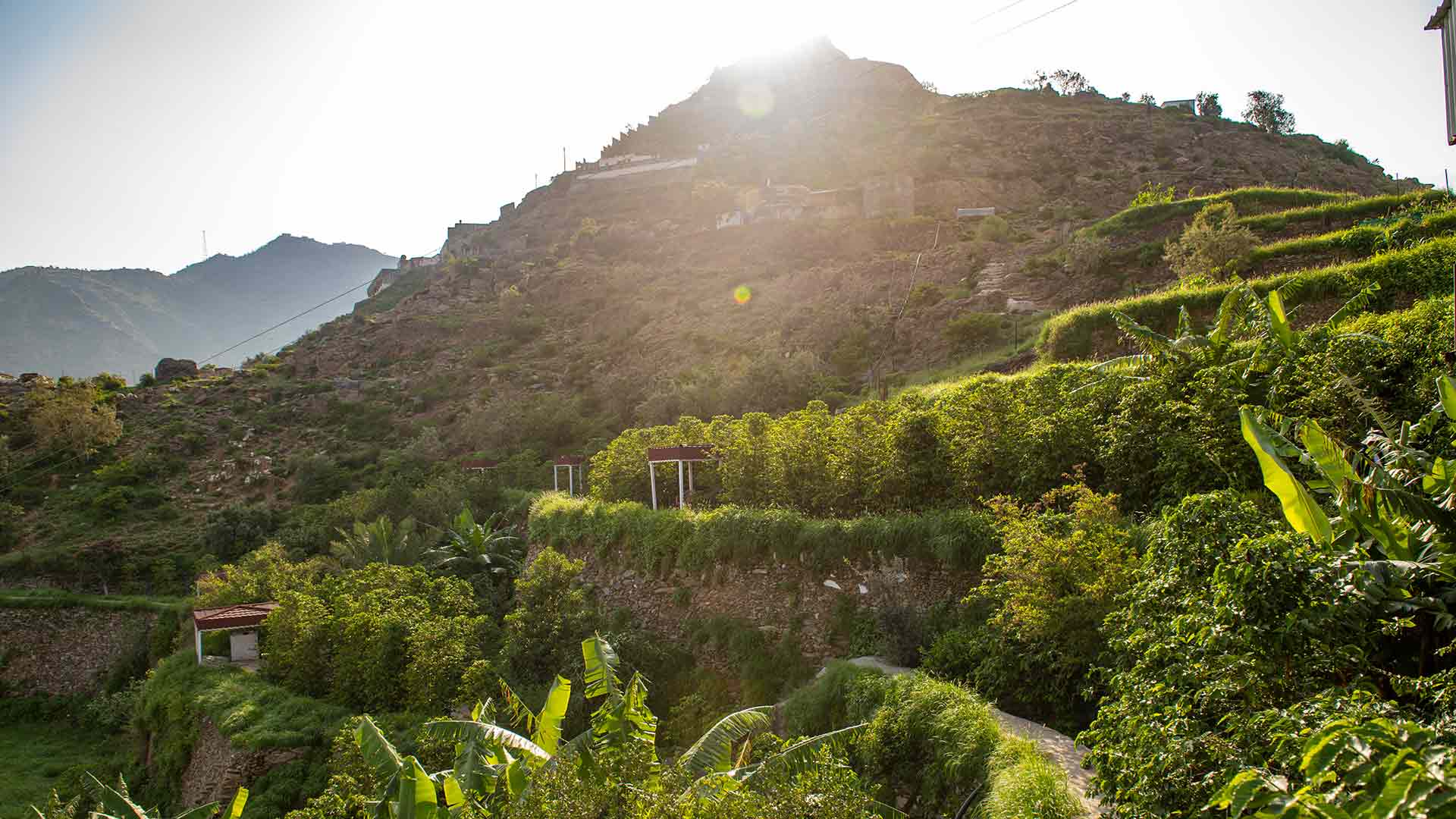 The terrain in the Kingdom’s southwest areas help deliver on the promise of a successful coffee industry.