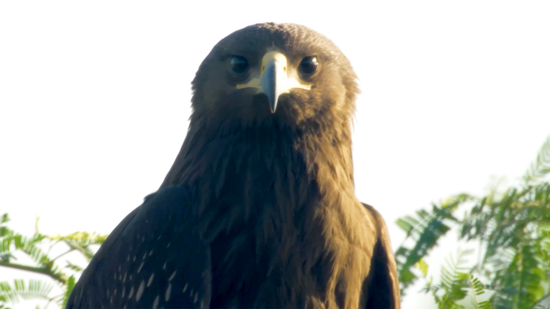 Week 14 Most Viewed: Viewers flock to video on Dhahran’s two lakes