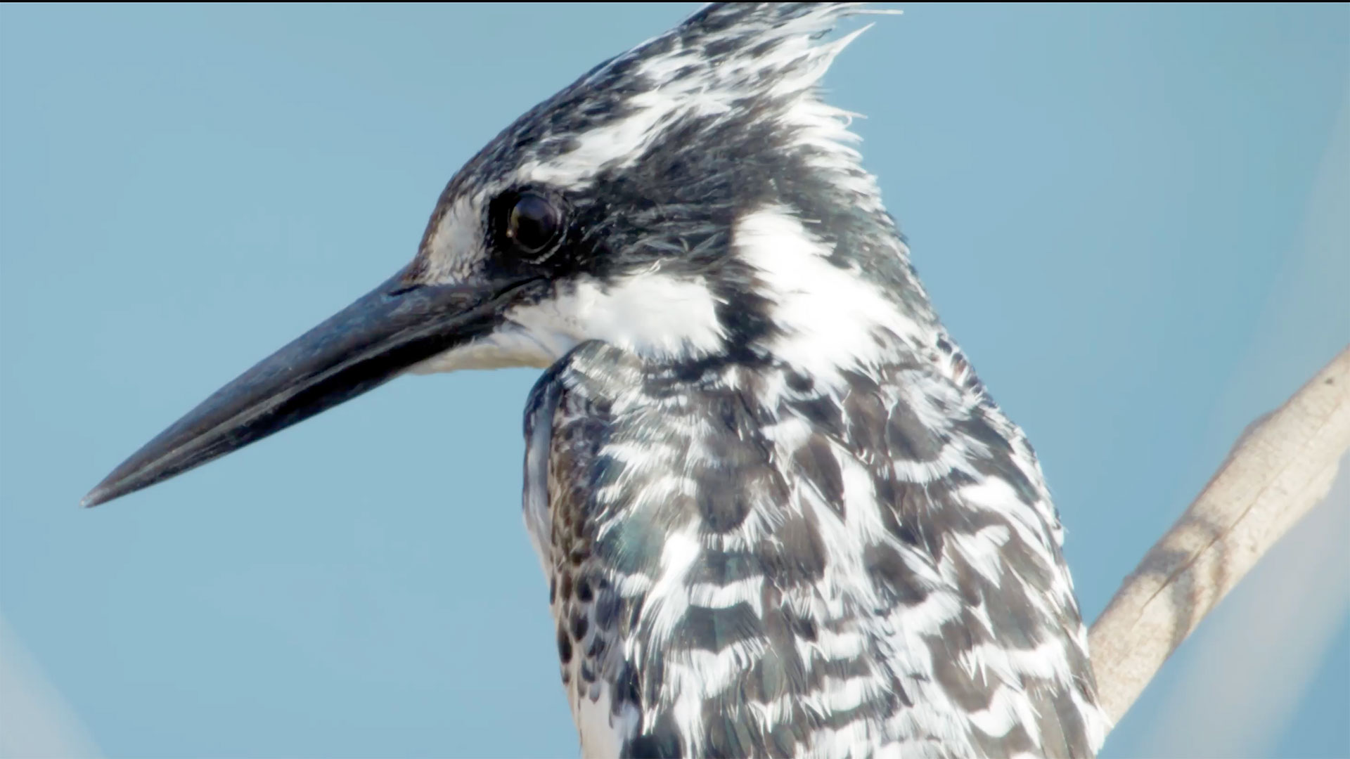 Week 16 Most Viewed: A veritable potpourri of content