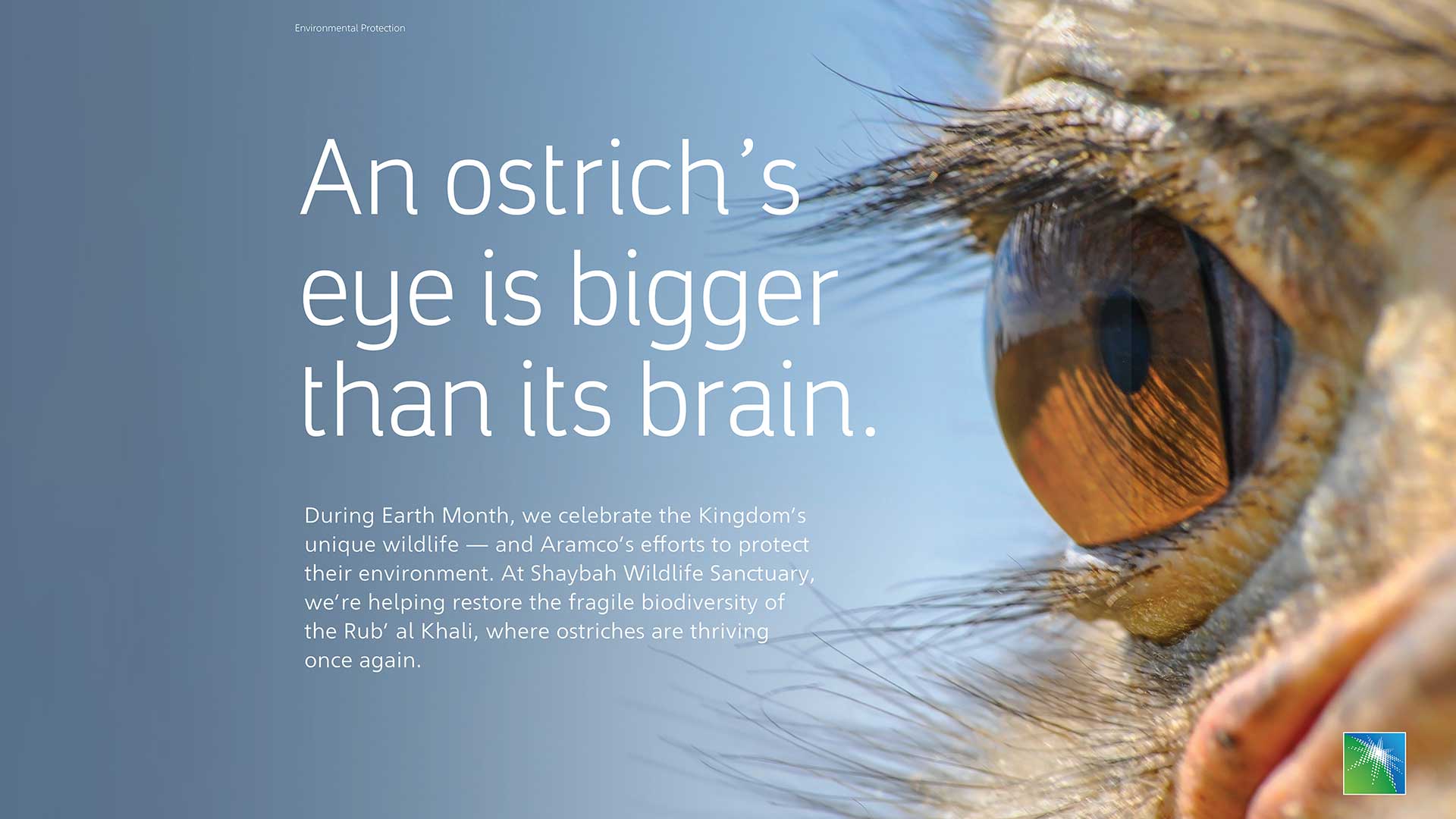 EARTH MONTH: An ostrich’s eye is bigger than its brain