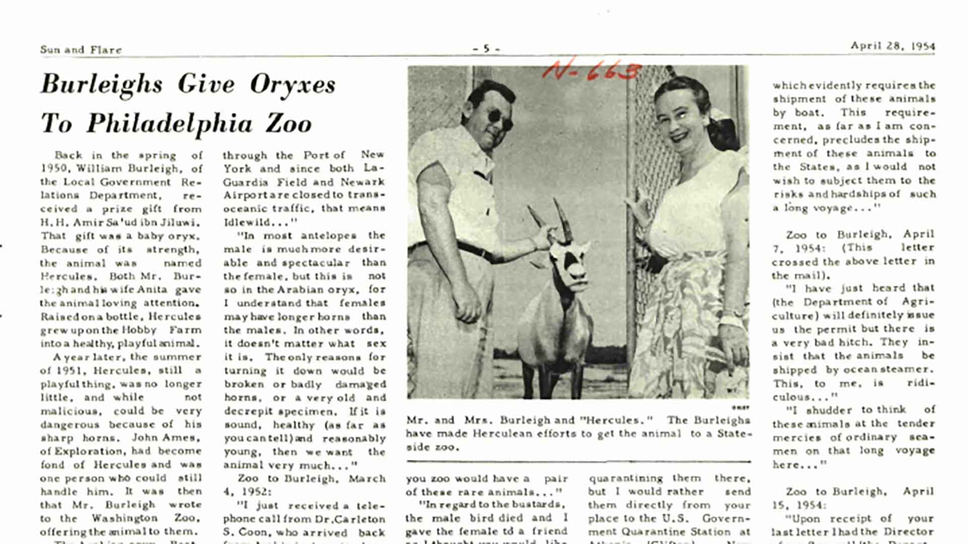 This Day in History (1954): Burleighs give oryx to Philadelphia Zoo