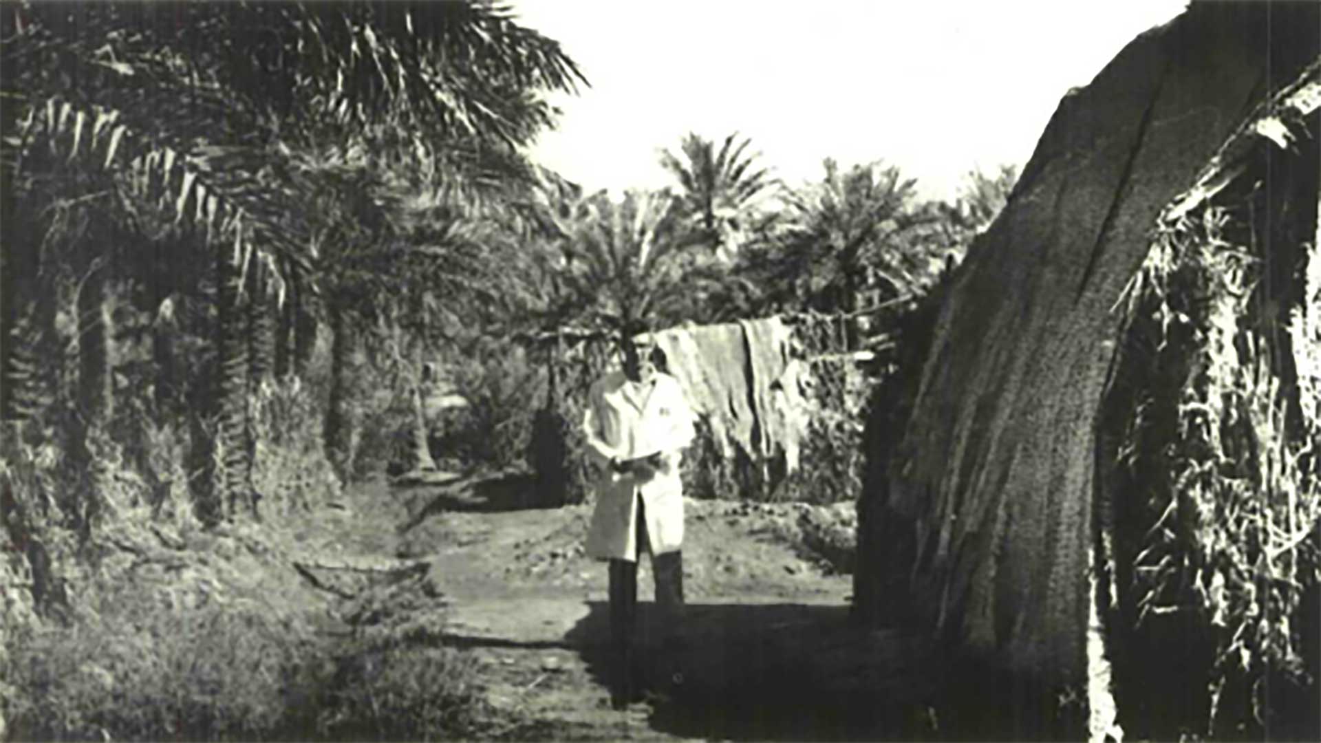 This Day in History (1960): Aramco, Harvard continue search for trachoma virus