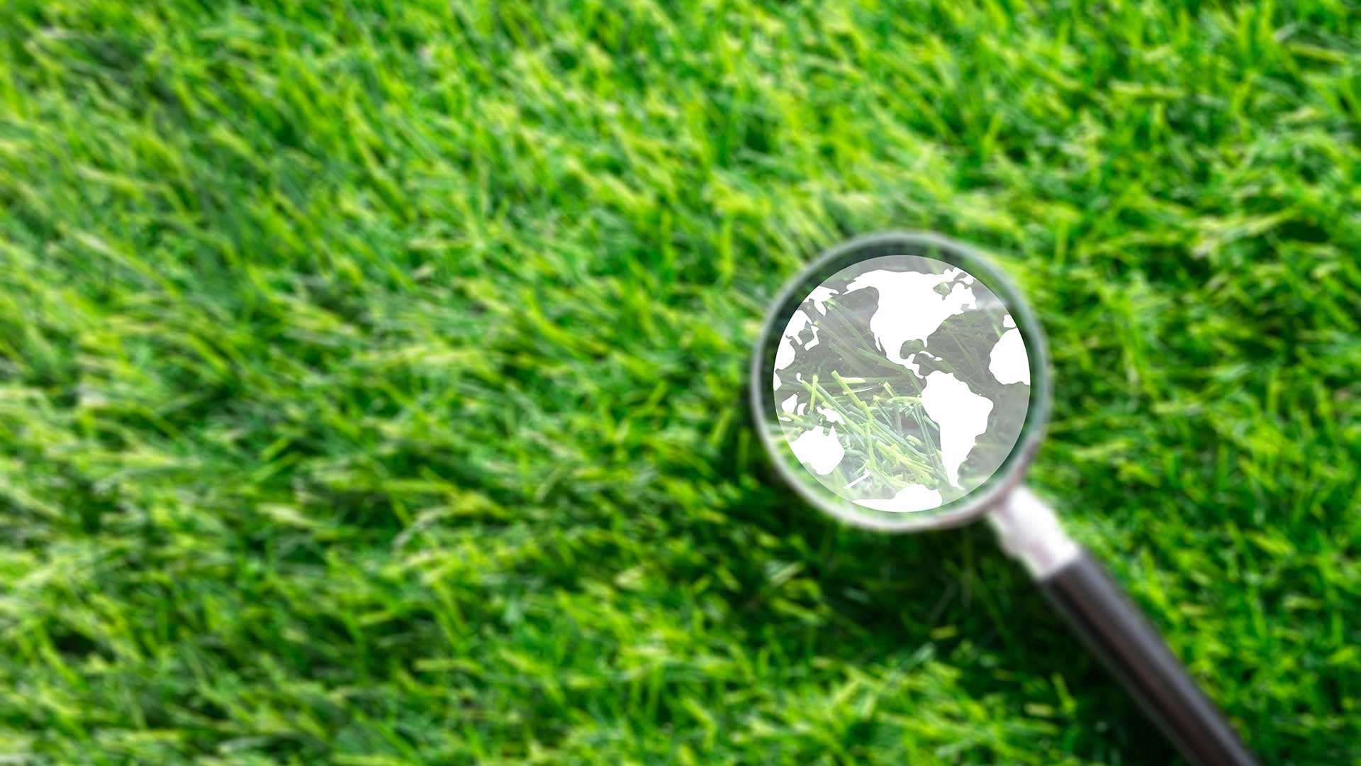 GREEN MATTERS: Building a sustainable society by noticing