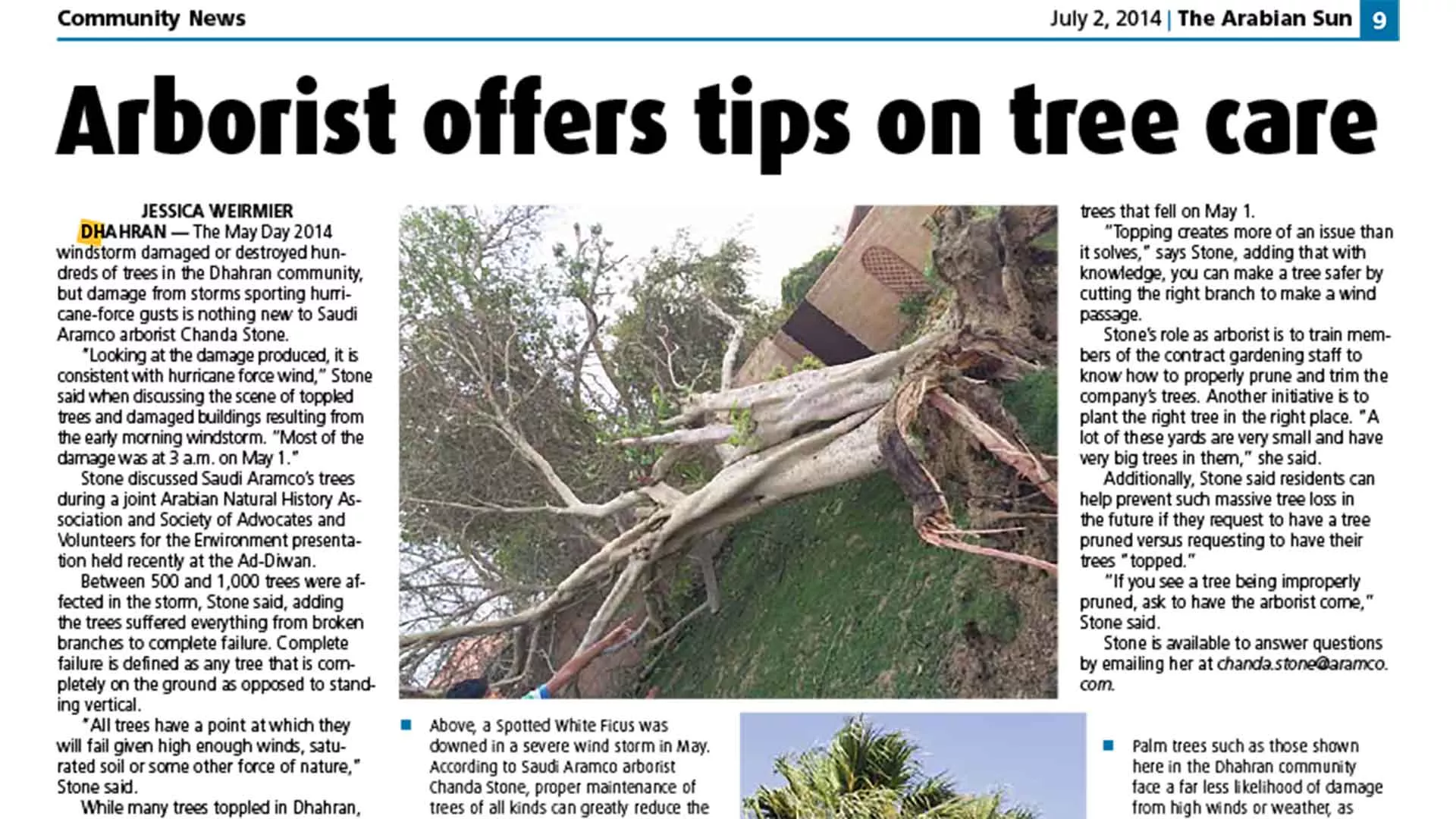 This Day in History (2014): Arborist offers tips on tree care