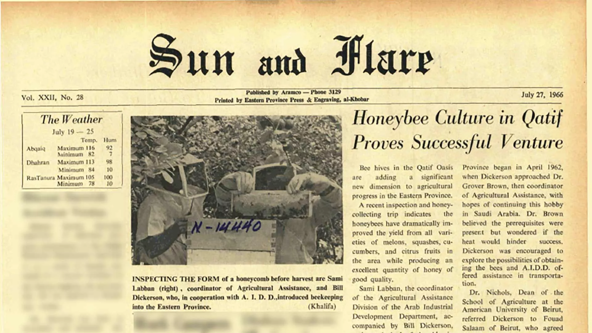 This Day in History (1966): Honeybee culture in Qatif proves successful venture