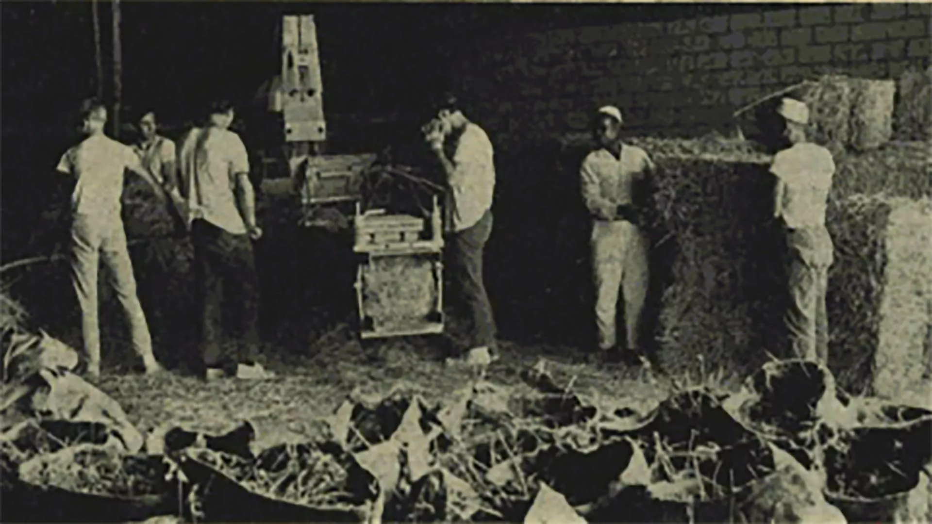 This Day in History (1967): make hay while the sun shines