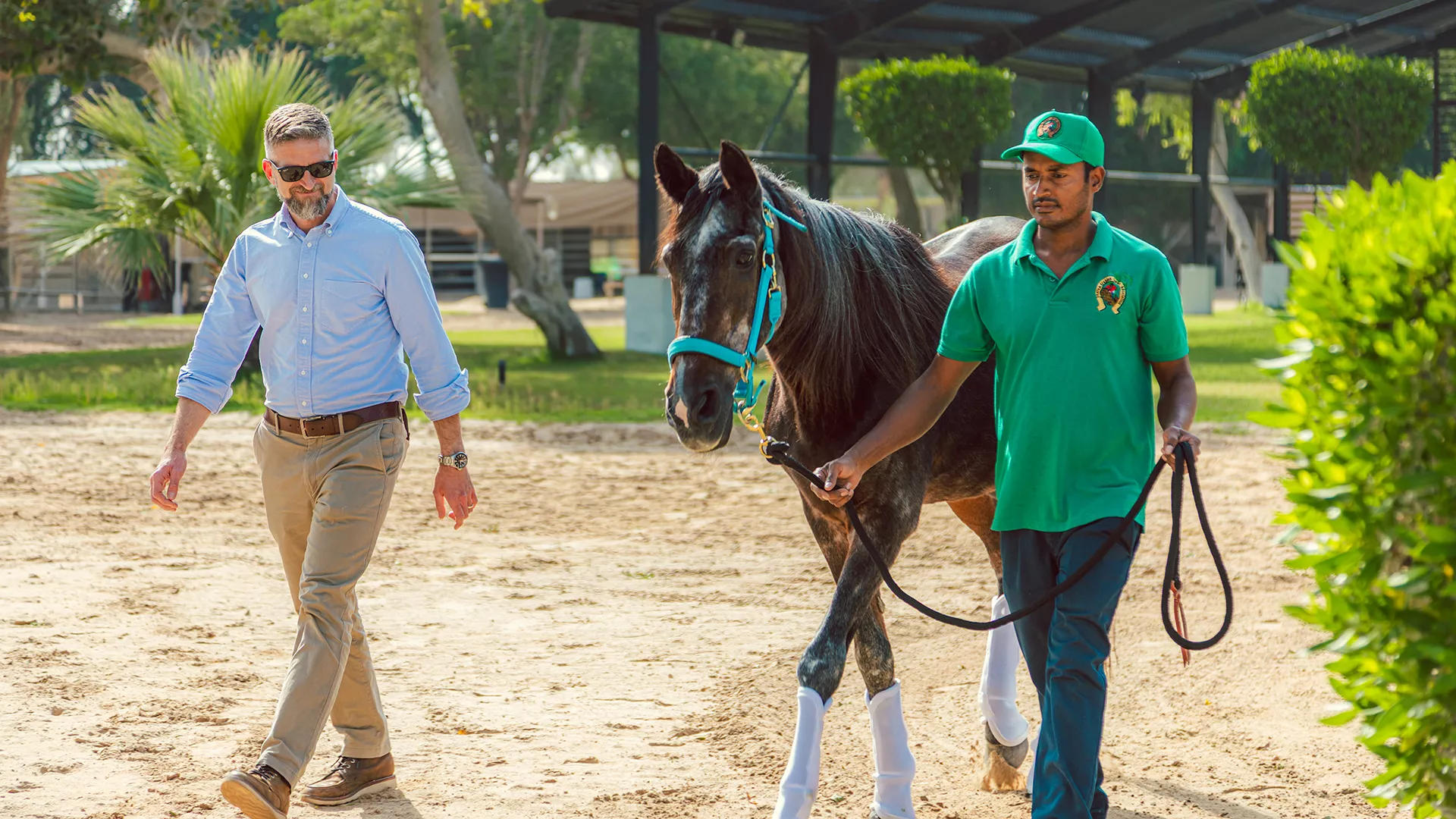 Dhahran Hobby Farm’s heartbeat for 36 years is Uday the horse